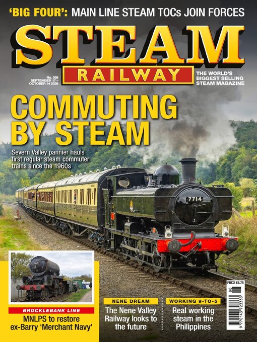 Cover image for Steam Railway